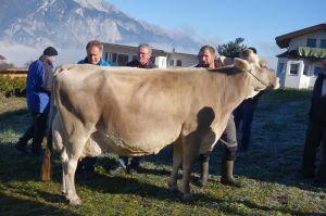 k-Jongleur bei Holknecht